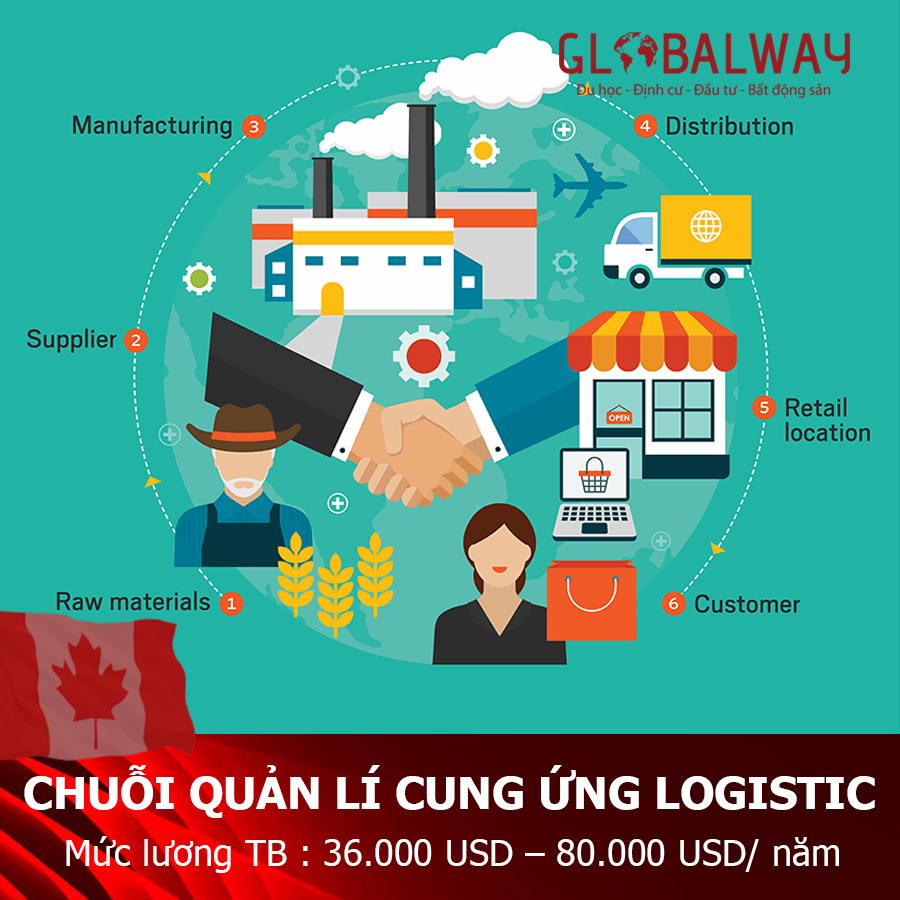 Ngành học chuỗi quản lí cung ứng Logistics 