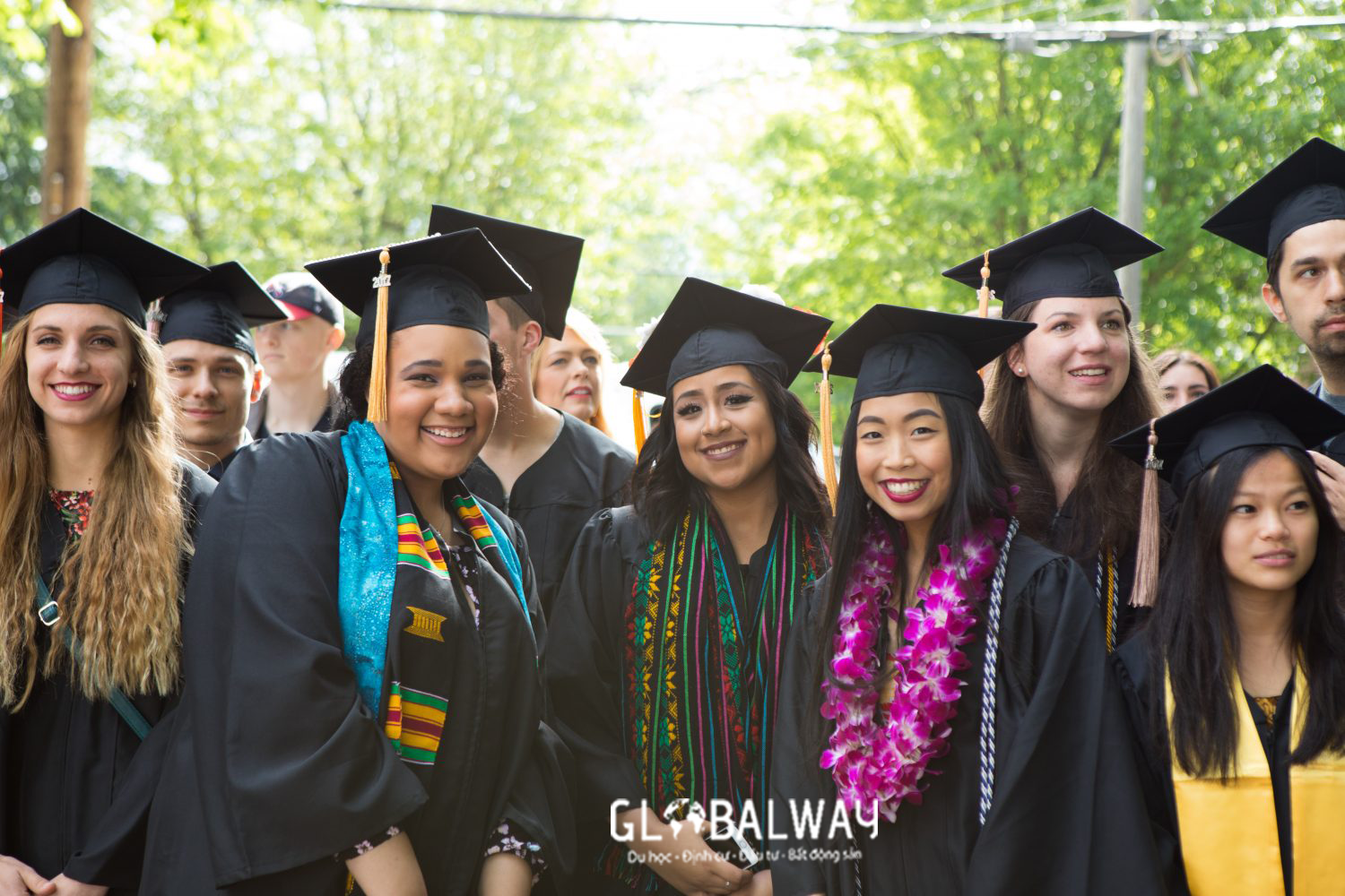 Bằng cấp đào tạo Seattle Pacific University